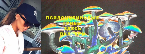 СК Абдулино