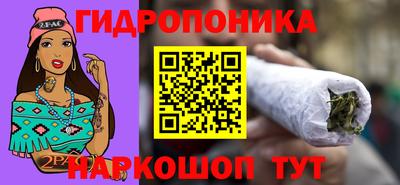 прущие грибы Ирбит
