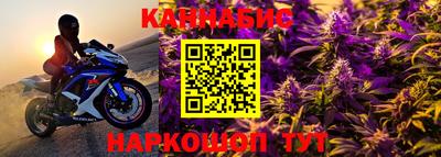 прущие грибы Ирбит