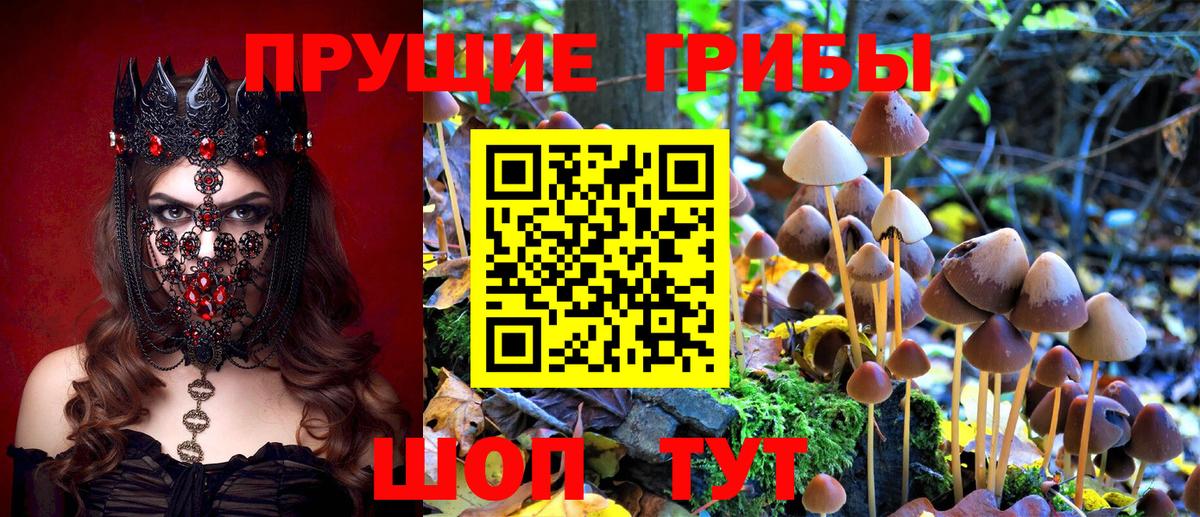 Рязань  Псилоцибиновые грибы ЛСД  купить  сайты  Галлюциногенные грибы Psilocybe  Вход с VPN 